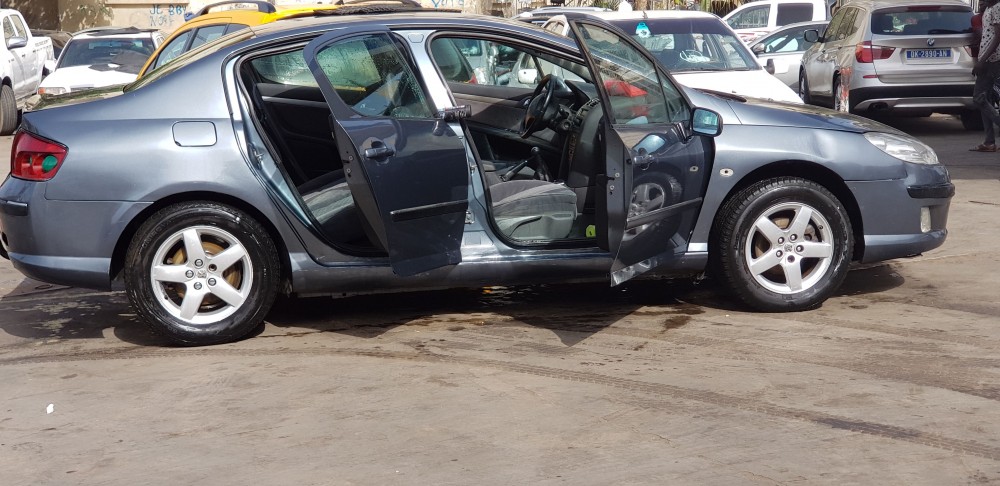 Peugeot 407 2009 0