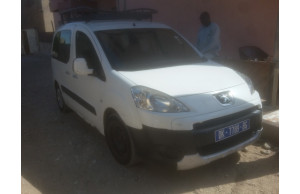 Peugeot Partner 2010