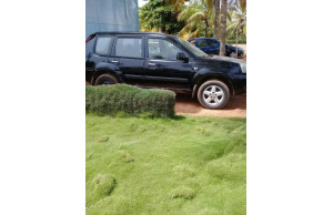 Nissan X-trail 2008