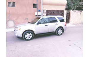 Ford ESCAPE-SE 2011