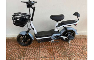 Piaggio Bravo 2022