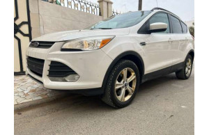 Ford ESCAPE-SE 2013