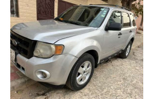 Ford ESCAPE-SE 2011