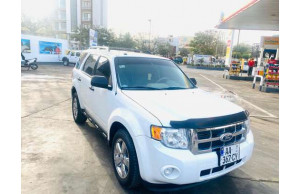 Ford ESCAPE-SE 2011