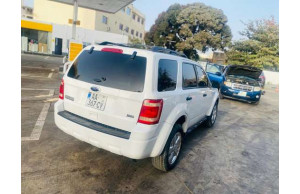 Ford ESCAPE-SE 2011