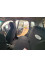 Ford Fiesta 2008 mini 2