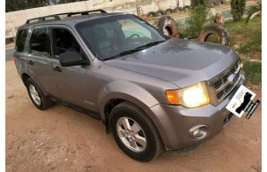 Ford ESCAPE-SE 2011
