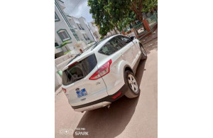 Ford ESCAPE-SE 2013