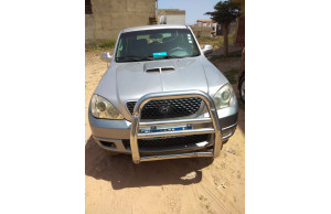 Hyundai Terrecan 2006