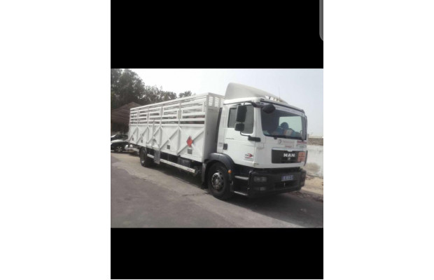 Mercedes car-camion 2010