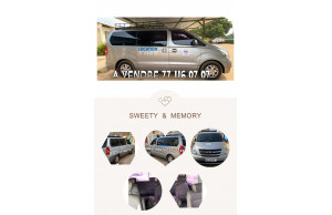 Hyundai Starex-12-places 2013