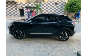 Peugeot 2008 2020