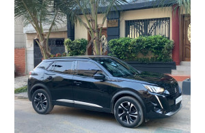 Peugeot 2008 2020