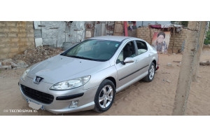 Peugeot 407-full-option 2005