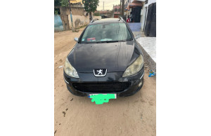 Peugeot 407 2009