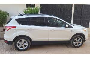 Ford ESCAPE-SE 2013
