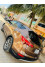 Hyundai Santa Fe 2016 mini 5