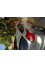 Ford Focus 2014 mini 0